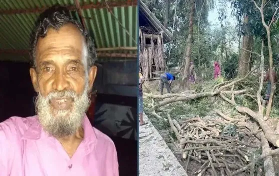 বাউফলে গাছের ডাল মাথায় পড়ে বিএনপি নেতার মৃত্যু